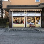 Cassonetto monofacciale luminoso